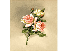 ������� ���� - ����������� �����.jpg