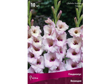 ��������� ������� �������.jpg