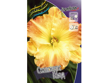 118,6���. �������� �������� ����(�������� ���� �� 1 ��., ����������� ����� 1��.).jpg