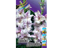 8,18���. ��������� ���� �����(���������� ������ ������ ���������� �� 8 ��.).jpg