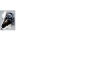 ���������14.png