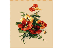 ������� ��������� - ����������� �����.jpg