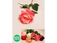 401/0296P ����