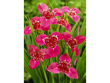 8,38���. �������� �������(���������� ������ ������ ���������� �� 10 ��.).jpg