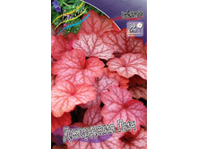 263���. ������� �������� ���(�������� ���� �� 1 ��., ����������� ����� 1��.).jpg