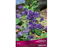 ��������� ������ ������� ������ ���.jpg