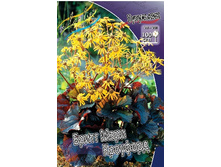 229,8���. ��������� ����� ���� ��������(�������� ���� �� 1 ��., ����������� ����� 1��.).jpg