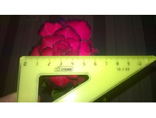 WP 20151022 16 22 48 Pro.jpg