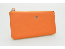 6250 A-ORANGE   1625���.jpg