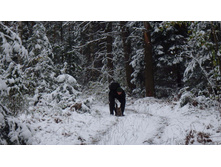 �������, �����-�� �����. �������...