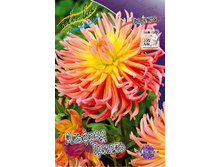 70,9���. �������� ������� ������(�������� ���� �� 1 ��., ����������� ����� 1��.).jpg