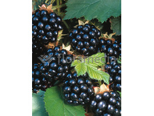 163���. ������� ��������� �������� ���16.jpg