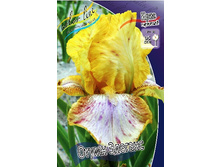 95,3���. ���� ���������� ����� �������(�������� ���� �� 2 ��., ����������� ����� 1��.).jpg