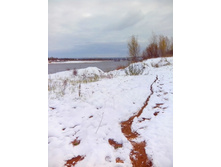 IMG 20151011 101651.jpg