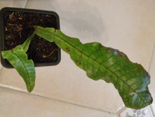 20151024 172419 HDR.jpg