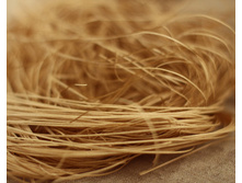 25 ��� ����������� ����������� (����) 20 ��