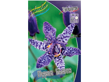 56,85���. ��������� ����� �����(�������� ���� �� 2 ��., ����������� ����� 1��.).jpg