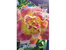 196,6���. �������� ����� �� �����(�������� ���� �� 1 ��., ����������� ����� 1��.).jpg