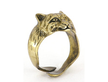 ������ ���� 250���