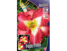 213,2���. �������� ���� ����(�������� ���� �� 1 ��., ����������� ����� 1��.).jpg