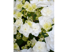 294���. ��������� �������������� ������ ������ ���16.jpg