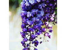 252���. �������� ��������������� ���� ������.jpg