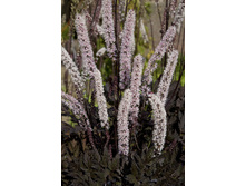 321���. �������� ����������(�������� ���� �� 1 ��., ����������� ����� 1��.).jpg