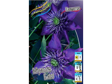 127,8���. �������� ������ ���(�������� ���� �� 3 ��., ����������� ����� 1��.).jpg