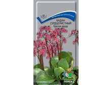 ����� ������������� ������� ������	, �������� -	5	��, ���� 10,50	+17%