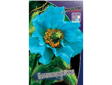 180���. ���������� �������������(�������� ���� �� 1 ��., ����������� ����� 1��.).jpg