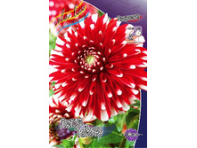 70,9���. �������� ����� ������(�������� ���� �� 1 ��., ����������� ����� 1��.).jpg