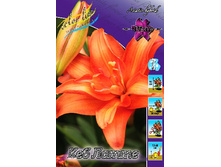 45,18���. ����� ��� �����(�������� ���� �� 5 ��., ����������� ����� 1��.).jpg