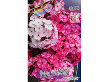 116,55���. ����� FRECKLE- ��� �����(�������� ���� �� 2 ��., ����������� ����� 1��.).jpg