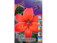 33,08���. ����� ���� ��������(�������� ���� �� 5 ��., ����������� ����� 1��.).jpg