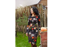 �1816  �.48,50,�����-���� 1020�!.���� ������� �����