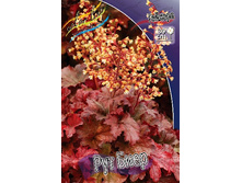 271,2���. ������� ��� ����(�������� ���� �� 1 ��., ����������� ����� 1��.).jpg