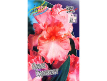 95,3���. ���� ���������� ���� ��������(�������� ���� �� 2 ��., ����������� ����� 1��.).jpg