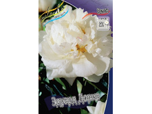 223,1���. ���� ������ �����(�������� ���� �� 1 ��., ����������� ����� 1��.).jpg