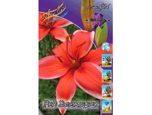 33,08���. ����� ��� ��������(�������� ���� �� 5 ��., ����������� ����� 1��.).jpg