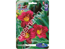 ������ ��.jpg