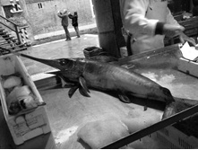 ����������� 045.jpg