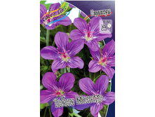 97,1���. �������� ����� ������(�������� ���� �� 1 ��., ����������� ����� 1��.).jpg