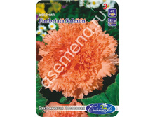 ����������� ���������.jpg