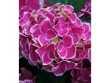 200���. ��������� �������������� ������.jpg