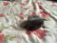 2015-08-02 11.59.58.jpg