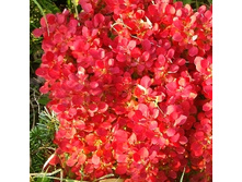 214���. �������� �������� ����� ���.jpg