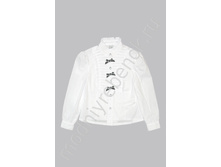 ���. 2243 DLSX.jpg