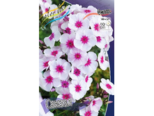 87,67���. ����� ������(�������� ���� �� 3 ��., ����������� ����� 1��.).jpg