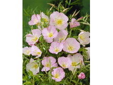 123,6���. ������� ��������(�������� ���� �� 1 ��., ����������� ����� 1��.).jpg