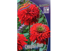 279,5���. �������� ������ ���(�������� ���� �� 1 ��., ����������� ����� 1��.).jpg